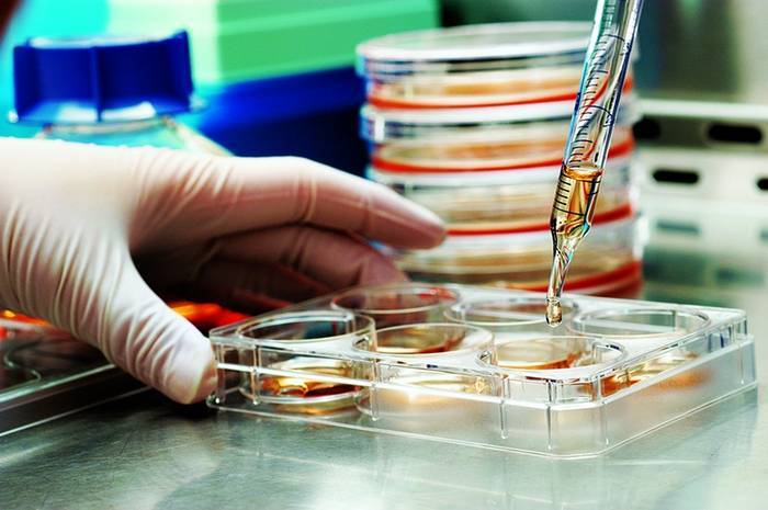 Stem Cell Therapy in Cincinnati