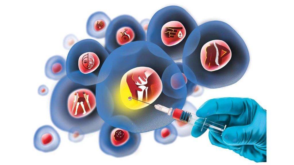 regenerative medicine and stem cells